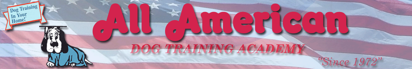 All American Dog Training Academy